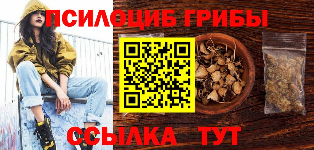 Псилоцибиновые грибы Psilocybe Лобня