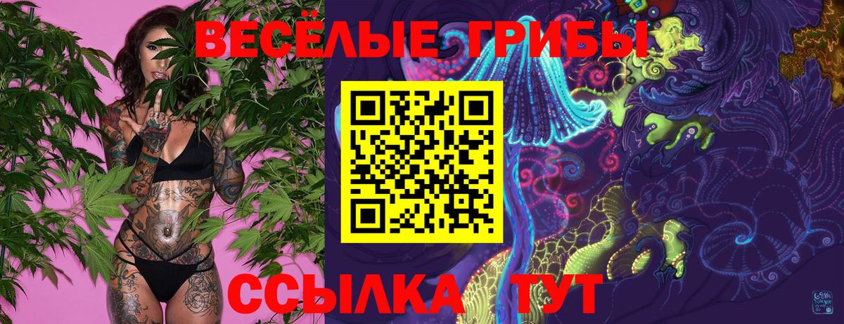 Псилоцибиновые грибы MAGIC MUSHROOMS  Вход с VPN  Лобня  Галлюциногенные грибы мухоморы 